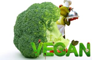 Warum Vegan - Vegane Produkte